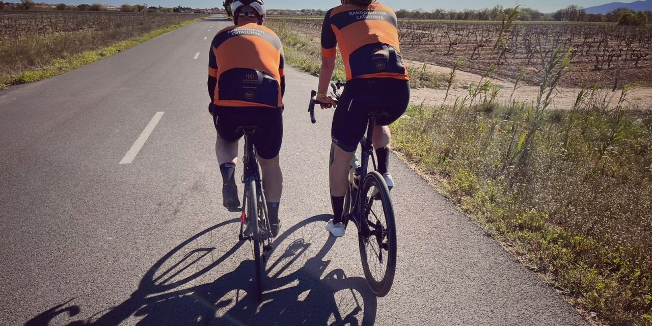 FLECHA VELOCCIO 2023