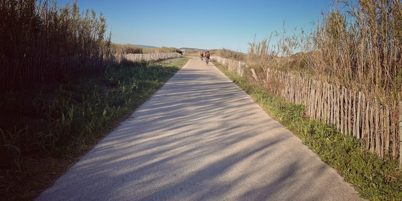 FLECHA VELOCCIO 2023